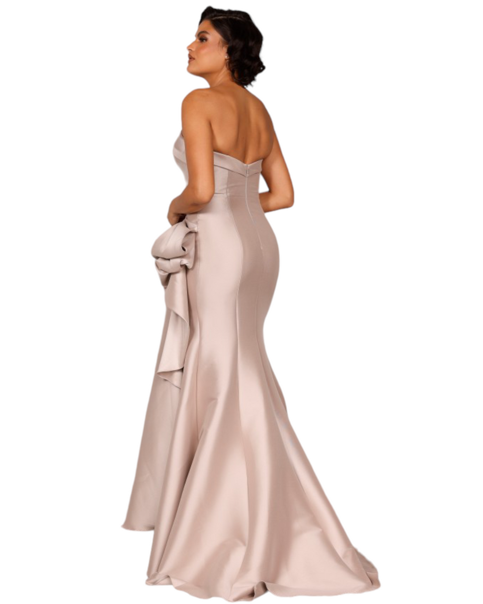 Terani 2111P4019 Duchess Boutique